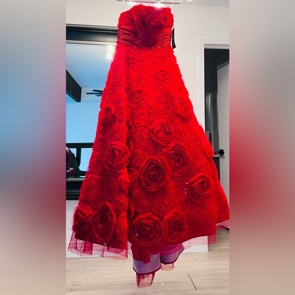 SHERRI HILL Prom | Gala | Quinceañera |Wedding | size 10 fits like 6 Red - Picture 3 of 14
